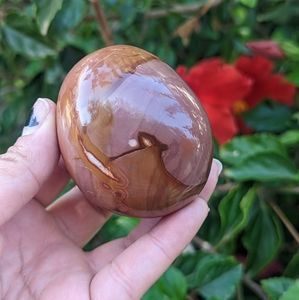 Polychrome Jasper Palm Stone